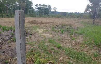 Imagem 4: Terreno no brasileirinho. 800m² de Área