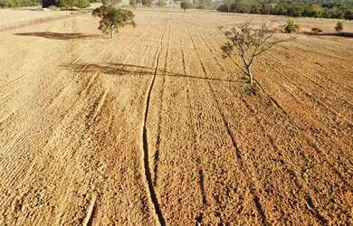 Imagem: A fazenda possui 48m² de Área e está localizado em Popular