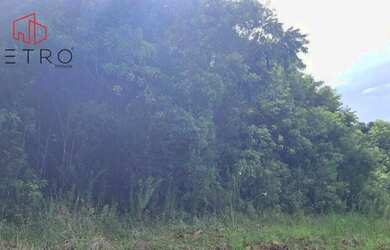 Imagem 5: Sítio à Venda em Gramado