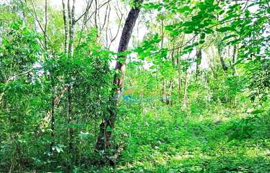 Imagem 3: Chácara à venda, 24200 m² por R$ 350.000,00 - São João Doeste - Cascavel/PR