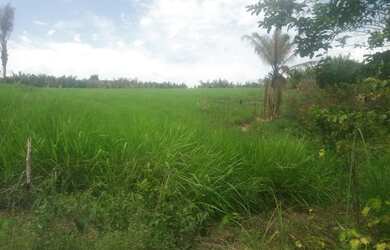 Imagem: A fazenda possui 75.000m² de Área e está localizado em Aparecida