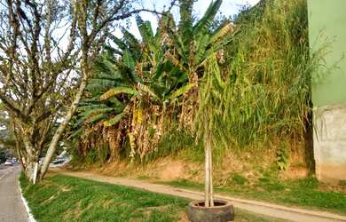 Imagem 1: Lote/Terreno para venda possui 120 metros quadrados em Lagoinha - Miguel Pereira - RJ