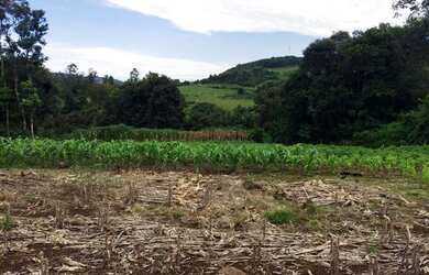 Imagem 4: Terreno 1.260,00,m², frente cercada, lugar alto linda vista, plano