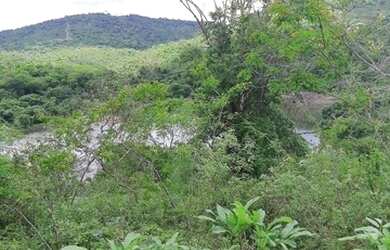 Imagem 2: Oportunidade em Negócio Fazenda Ceará Venda