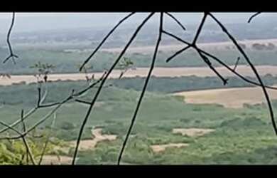 Imagem: A fazenda possui 10m² de Área e está localizado em Jaraguari