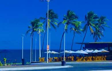 Imagem 10: Venha pra temporada +Barata da Orla em Salvador