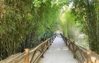 Imagem 9: Casa com 4 suites, 572 m² por R$ 5.800.000 - Condomínio Saint Patrick...