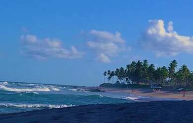 Imagem 14: Venha pra temporada +Barata da Orla em Salvador