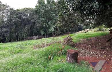 Imagem 13: Área à venda, 247900 m² por R$ 3.000.000,00 - Paris - Guaraniaçu/PR