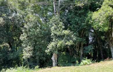 Imagem 5: Terreno em Condomínio - Bairro Lagos do Bosque