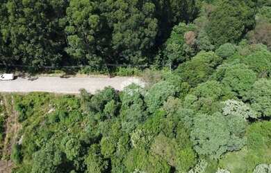 Imagem 4: Terreno no bairro Forqueta em Caxias do Sul