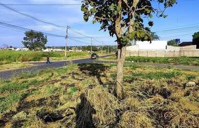 Imagem 13: Área de 994 metros quadros no setor Buriti Sereno Lote à Venda, 994.11...