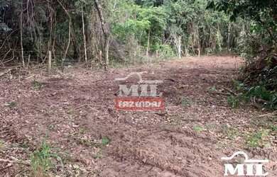 Imagem 4: Fazenda 90 Alqueires 440 Hectares Caiaponia - GO