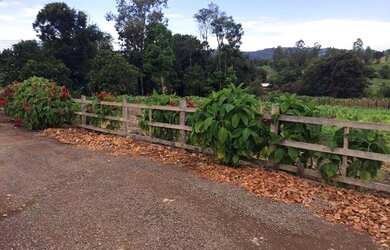 Imagem 6: Terreno 1.260,00,m², frente cercada, lugar alto linda vista, plano