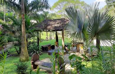 Imagem 9: Propriedade encantadora pronta para hotel fazenda rica em água