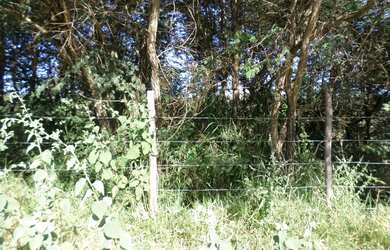 Imagem 3: Lote/Terreno para venda possui 300 metros quadrados em Cachoeira - Betim...