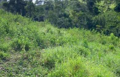 Imagem 5: Fazenda pequena 150.000 mil