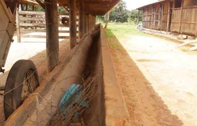 Imagem 1: Raridade Fazendinha Com Agua De Rio Estrada Pirapora Otima Estrutura