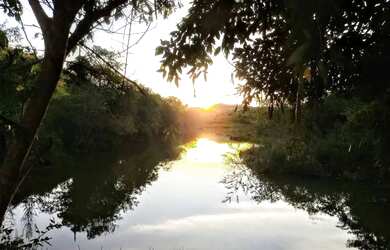 Imagem: A chácara possui 2.430m² de Área e está localizado em Santos