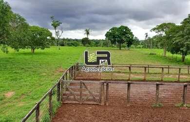 Imagem 5: Fazenda de 2.574 Alqueires em Formoso do Araguaia To