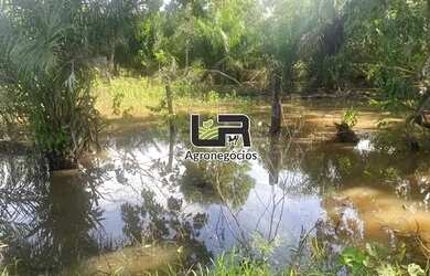 Imagem 3: Fazenda de 2.574 Alqueires em Formoso do Araguaia To
