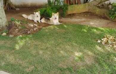 Imagem 13: Casa à venda no bairro Recreio Ipitanga - Lauro de Freitas/BA