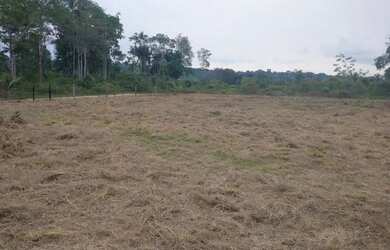 Imagem 6: Terreno no brasileirinho. 800m² de Área