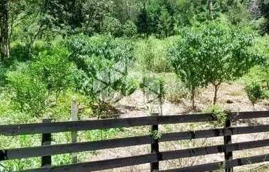 Imagem 14: Sitio de 22 hectares a poucos quilometros de Canela