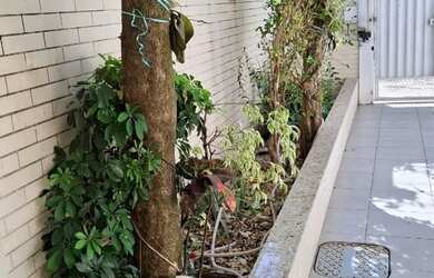 Imagem 3: Excelente oportunidade na Avenida Central, Núcleo Bandeirante, localização...