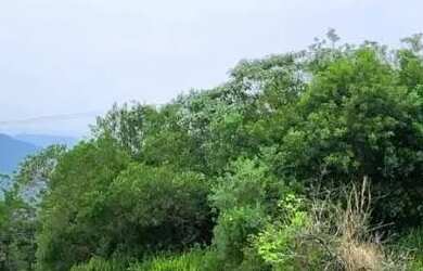 Imagem 11: Terreno para Venda em Nova Petrópolis, Vila Olinda