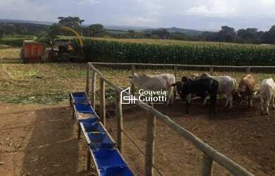 Imagem: A fazenda possui 154.880m² de Área e está localizado em