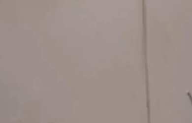 Imagem 3: Imóvel para aluguel possui 250000 metros quadrados com 3 quartos em Aleixo...