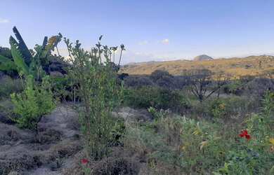Imagem 8: Terreno- Picadas Gouveia MG