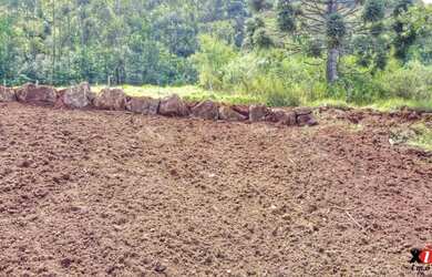 Imagem 4: Sítio / Chácara para Venda em Nova Petrópolis, Linha Brasil Fundos