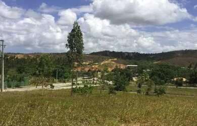 Imagem 4: Haras Residence 4034. 450m² de Área