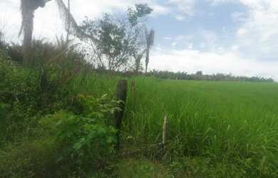 Imagem 2: Fazenda. 75.000m² de Área