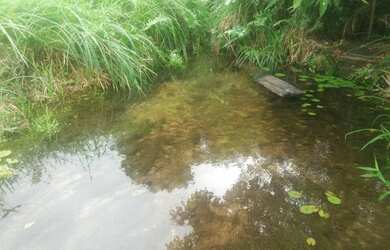 Imagem 6: Fazenda. 75.000m² de Área