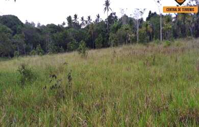 Imagem: O terreno possui 27.900m² de Área e está localizado em Vívea