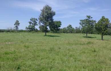 Imagem: A fazenda está localizado em Faina, GO à venda por R$7.500.000