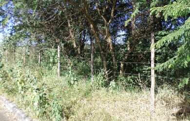 Imagem 5: Lote/Terreno para venda possui 300 metros quadrados em Cachoeira - Betim...