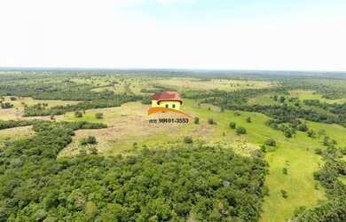 Imagem 9: Fazenda para Venda em Nova Rosalândia