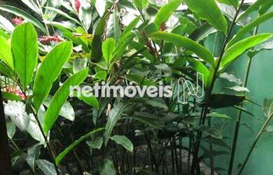 Imagem 4: Venda Casa em condomínio Pituba Salvador