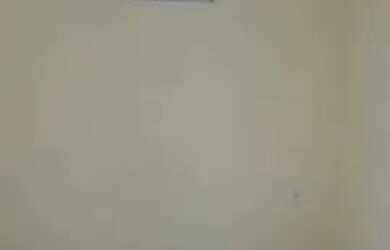 Imagem 3: Aluguel Casa Casa com 1 dormitório