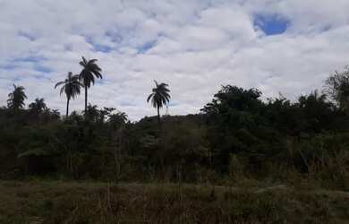 Imagem: A chácara possui 4000m² de Área e está localizado em São