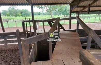Imagem 15: Fazenda de 2.574 Alqueires em Formoso do Araguaia To