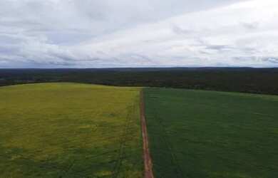 Imagem: A fazenda possui Imóvel novo e está localizado em Plano Diretor