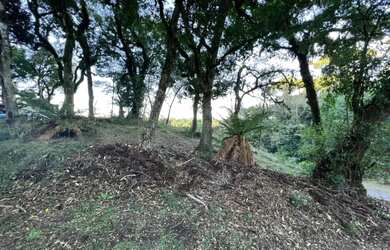 Imagem 2: Terreno - Bairro Quinta da Serra