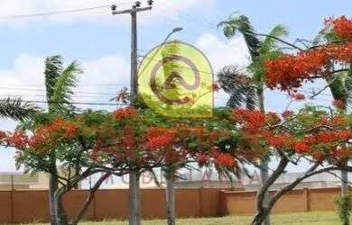 Imagem: O terreno possui 548m² de Área e está localizado em Lagoa