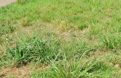 Imagem: O terreno possui 559m² de Área e está localizado em Jardim