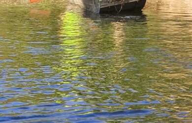 Imagem 14: OPORTUNIDADE ÚNICA BELÍSSIMA FAZENDA À VENDA EM BURITIS-MG